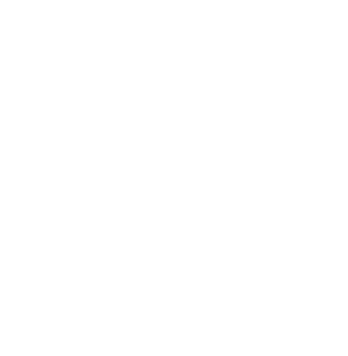 DISTRIBUTOR OF CP PLUS